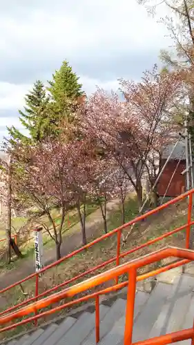 星置神社の景色