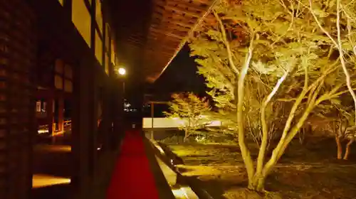 妙覺寺（妙覚寺）の建物その他