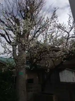 新宿下落合氷川神社(東京都)