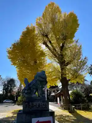 亀ケ池八幡宮(神奈川県)