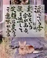 専念寺(大阪府)