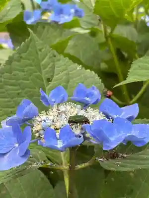 西野神社(北海道)