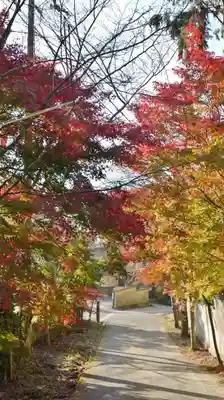 毘沙門堂門跡のその他建物