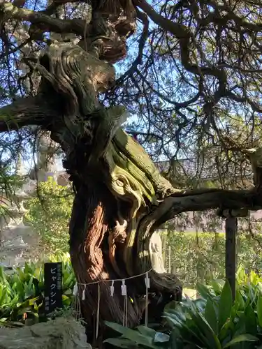 長昌寺(神奈川県)