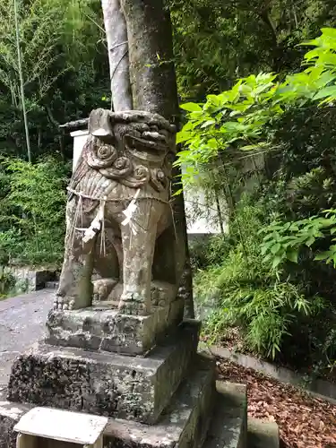 宇佐八幡神社の狛犬