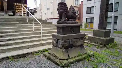 札幌諏訪神社の狛犬