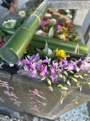 草加神社(埼玉県)