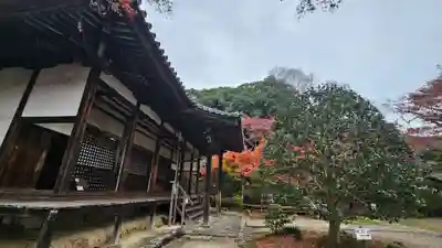 白毫寺(奈良県)
