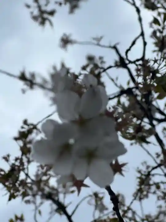 竜谷寺(岩手県)