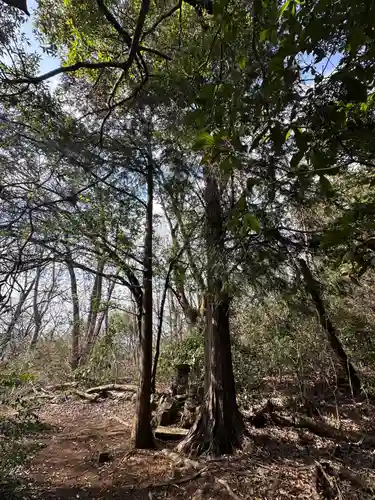 金比羅宮(神奈川県)