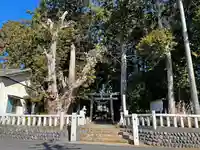 敬満神社のその他建物
