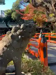 千葉神社(千葉県)