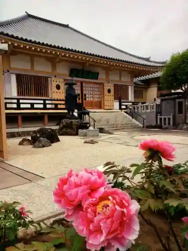 禅定院(東京都)