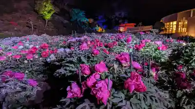 金蛇水神社(宮城県)