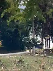 若年神社(兵庫県)