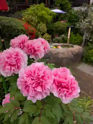 一乗寺(東京都)