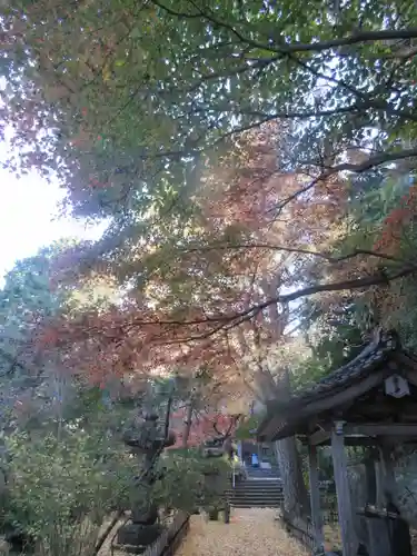 安國論寺（安国論寺）の景色