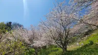 木野山神社(愛媛県)
