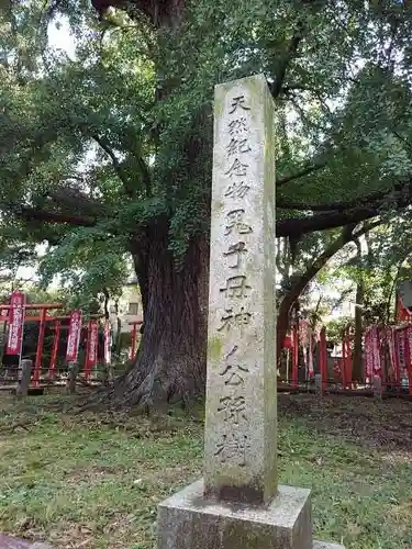 鬼子母神堂　(法明寺）の庭園