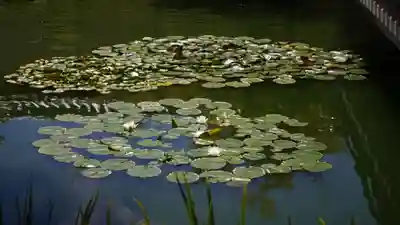 法華寺(奈良県)