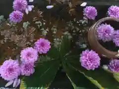 札幌護國神社(北海道)