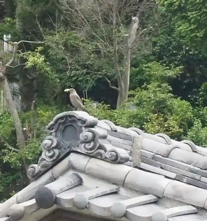 薬王寺(神奈川県)