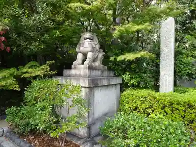 晴明神社の狛犬
