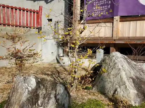 神吉八幡神社の自然