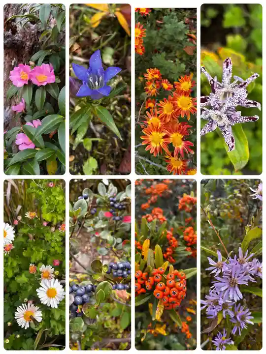 龍寳寺(龍宝寺)(神奈川県)