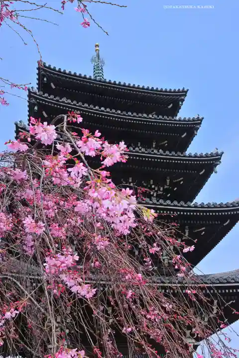 香林寺(神奈川県)
