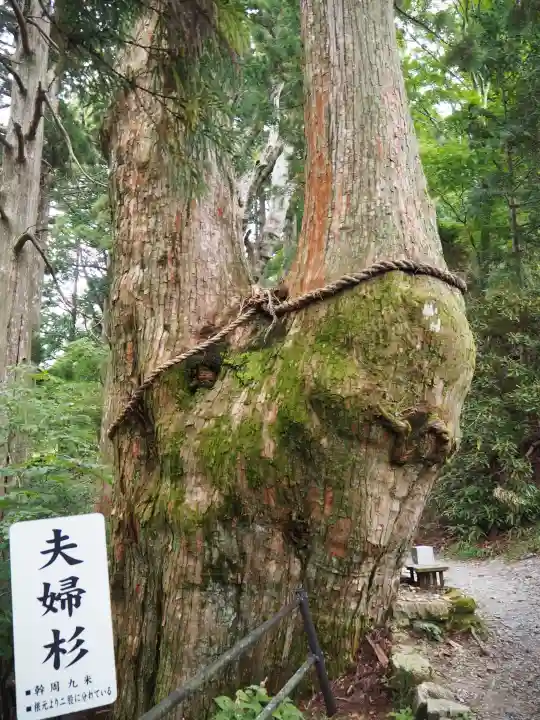 玉置神社の{uncategorized: "未分類", other: "その他", undefined: "問題あり", building: "その他建物", grave: "お墓", sacred_gate: "鳥居", guardian: "狛犬", statue: "像", buddha: "仏像", history: "歴史", nature: "自然", garden: "庭園", animal: "動物", pagoda: "塔", temizu: "手水舎", mountain_gate: "山門・神門", sanctuary: "本殿・本堂", subordinate: "末社・摂社", art: "芸術", scenery: "景色", jizo: "地蔵", ema: "絵馬", goshuin: "御朱印", omikuji: "おみくじ", items: "授与品その他", amulet: "お守り", goshuincho: "御朱印帳", eats: "食事", festival: "お祭り", votive_dance: "神楽", shichigosan: "七五三参", wedding: "結婚式", experience: "体験その他", initially: "初詣", around: "周辺", anti_infection: "感染症対策"}