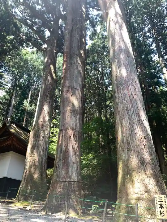 宝積山光前寺(長野県)
