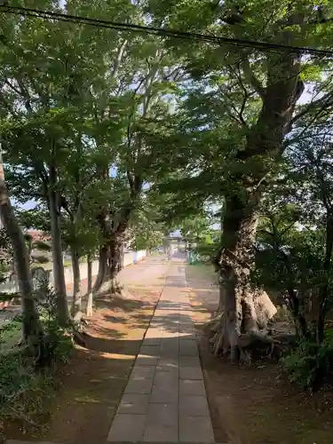 八剱神社の景色