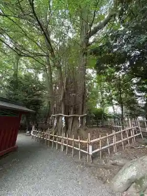 大國魂神社(東京都)