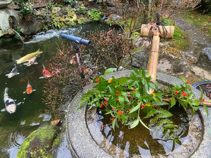 一條殿 新善光寺(京都府)