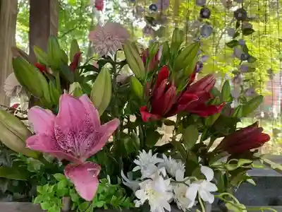 彌彦神社　(伊夜日子神社)の手水舎