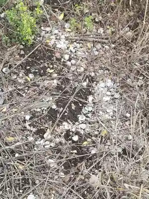 篠山神社(栃木県)