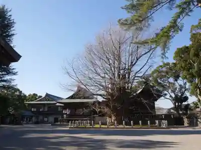 葛飾八幡宮のその他建物