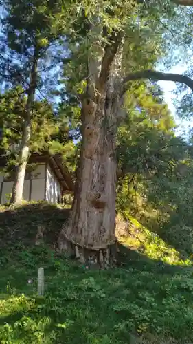 福応寺(宮城県)