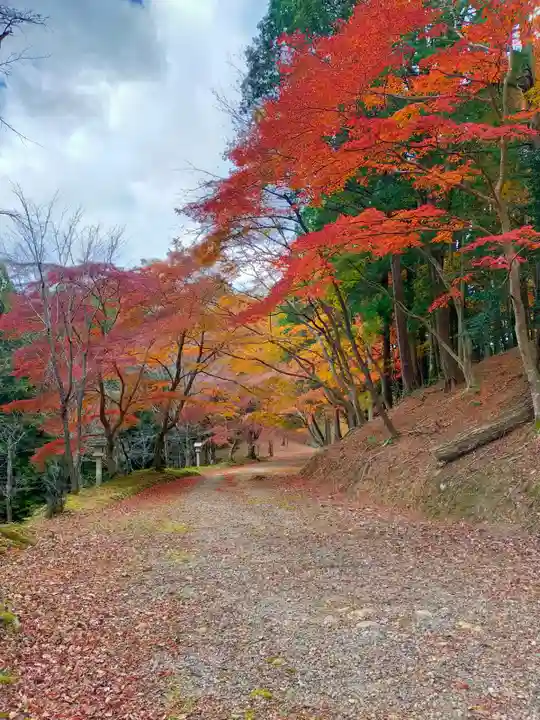 吉野神宮(奈良県)