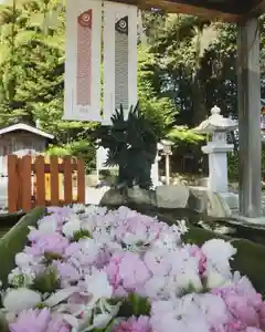 立志神社の手水舎(2022年04月20日(水) 13時09分46秒投稿)