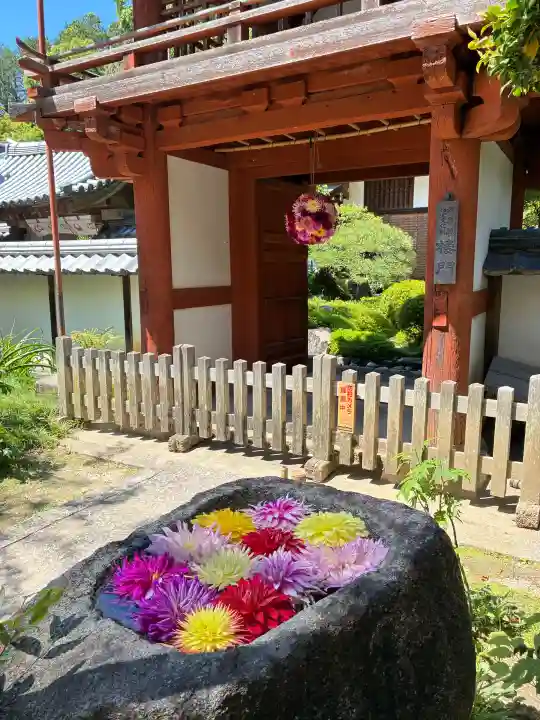 岡寺(龍蓋寺)の{uncategorized: "未分類", other: "その他", undefined: "問題あり", building: "その他建物", grave: "お墓", sacred_gate: "鳥居", guardian: "狛犬", statue: "像", buddha: "仏像", history: "歴史", nature: "自然", garden: "庭園", animal: "動物", pagoda: "塔", temizu: "手水舎", mountain_gate: "山門・神門", sanctuary: "本殿・本堂", subordinate: "末社・摂社", art: "芸術", scenery: "景色", jizo: "地蔵", ema: "絵馬", goshuin: "御朱印", omikuji: "おみくじ", items: "授与品その他", amulet: "お守り", goshuincho: "御朱印帳", eats: "食事", festival: "お祭り", votive_dance: "神楽", shichigosan: "七五三参", wedding: "結婚式", experience: "体験その他", initially: "初詣", around: "周辺", anti_infection: "感染症対策"}