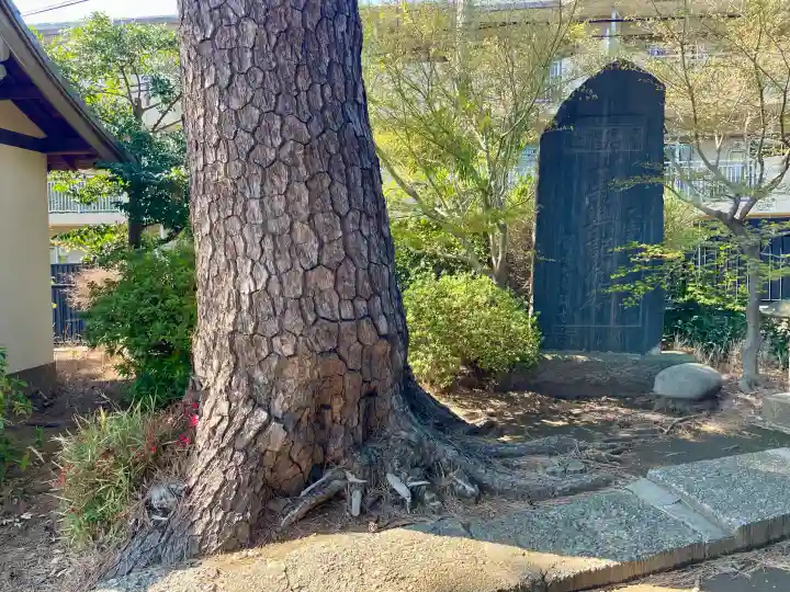 東伏見氷川神社の{uncategorized: "未分類", other: "その他", undefined: "問題あり", building: "その他建物", grave: "お墓", sacred_gate: "鳥居", guardian: "狛犬", statue: "像", buddha: "仏像", history: "歴史", nature: "自然", garden: "庭園", animal: "動物", pagoda: "塔", temizu: "手水舎", mountain_gate: "山門・神門", sanctuary: "本殿・本堂", subordinate: "末社・摂社", art: "芸術", scenery: "景色", jizo: "地蔵", ema: "絵馬", goshuin: "御朱印", omikuji: "おみくじ", items: "授与品その他", amulet: "お守り", goshuincho: "御朱印帳", eats: "食事", festival: "お祭り", votive_dance: "神楽", shichigosan: "七五三参", wedding: "結婚式", experience: "体験その他", initially: "初詣", around: "周辺", anti_infection: "感染症対策"}
