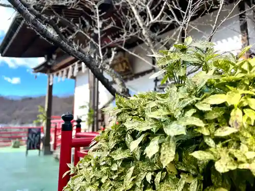 長光寺のその他建物