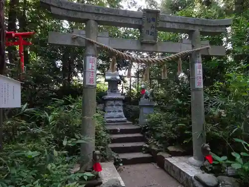 白笹稲荷神社の鳥居