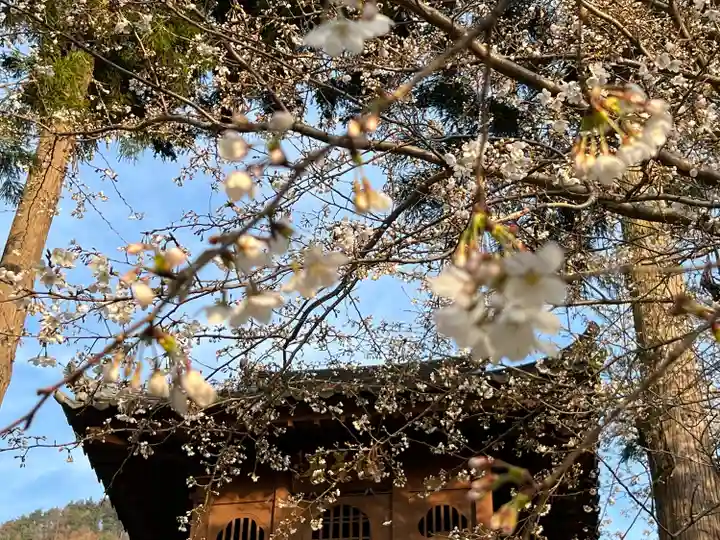 如法寺(長野県)