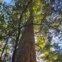 伊勢神宮内宮(皇大神宮)(三重県)