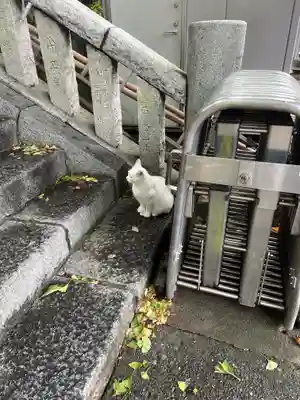 雷神社(神奈川県)