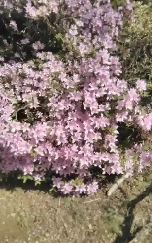 山神社(宮城県)