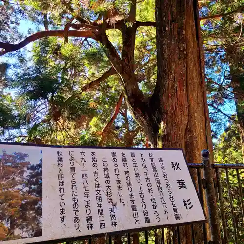 秋葉山本宮 秋葉神社 上社(静岡県)